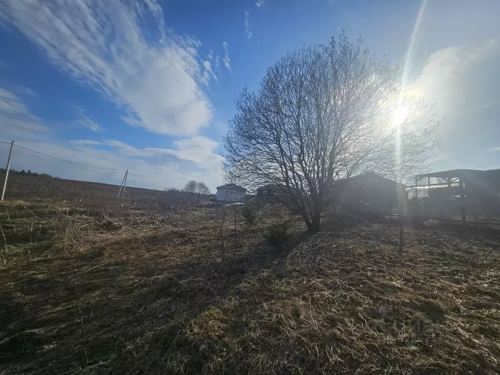 Участок в Московская область, Истра муниципальный округ, д. Кучи 12 ... - Фото 1