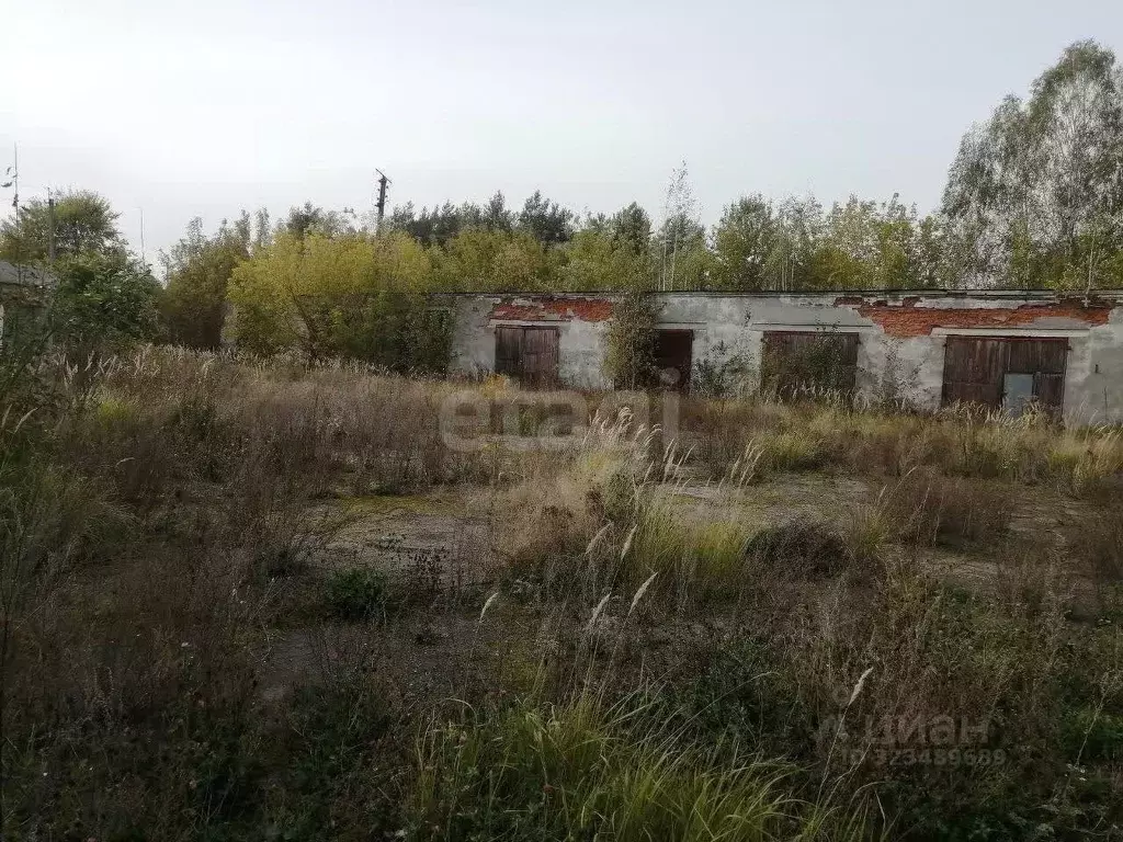 Склад в Брянская область, Клинцовский район, пос. Первое Мая ул. ... - Фото 2