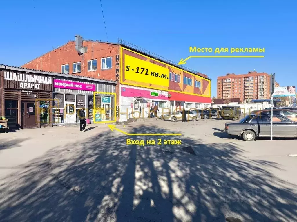 Помещение свободного назначения в Новосибирская область, Новосибирск ... - Фото 1