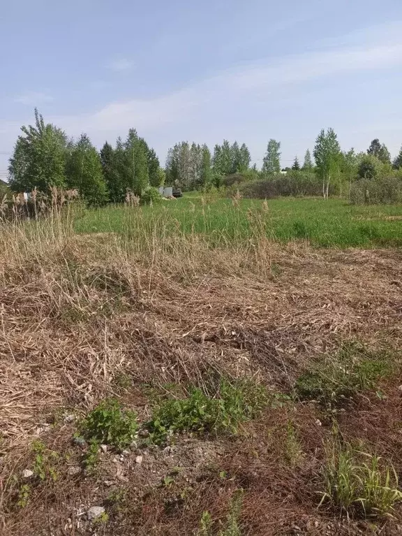 Участок в Тюменская область, Тюмень Липовый Остров СНТ, ул. 11-я ... - Фото 2