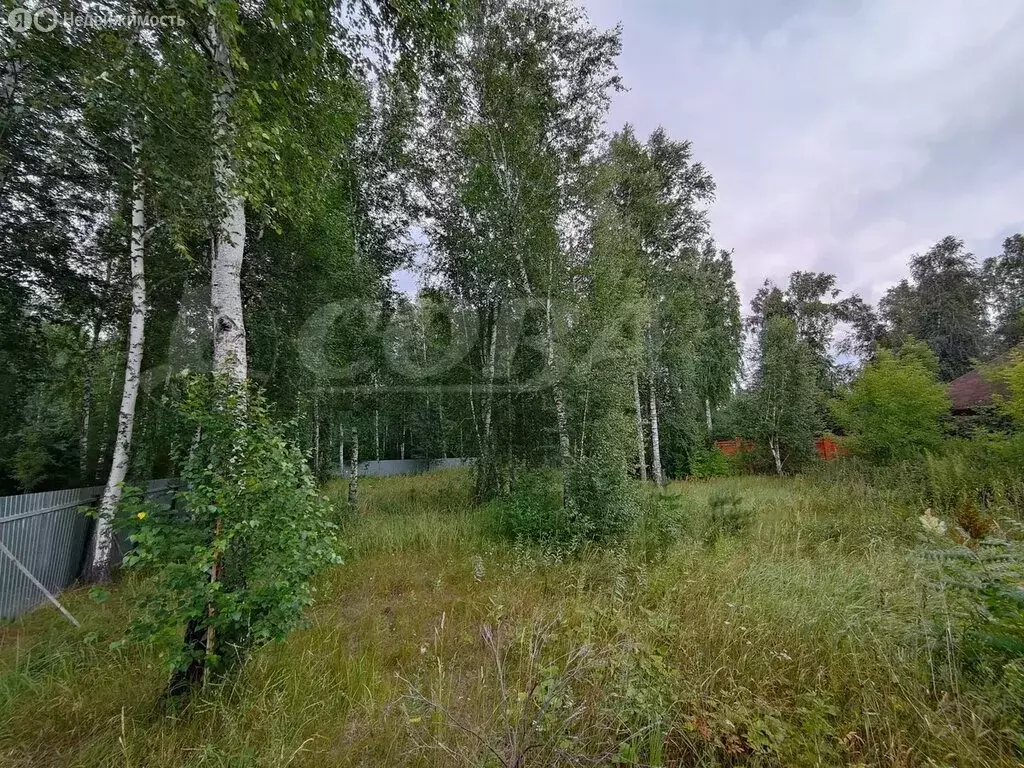 Участок в Тюменский район, деревня Патрушева (18 м) - Фото 1