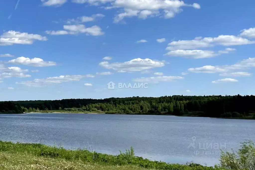Участок в Нижегородская область, Дальнеконстантиновский муниципальный ... - Фото 2