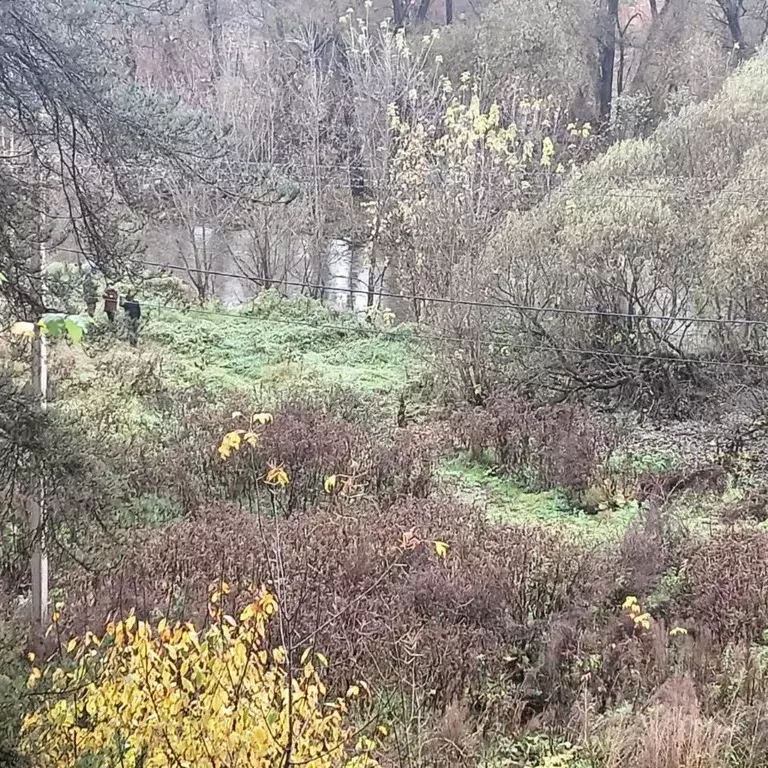 Участок в Московская область, Истра муниципальный округ, д. Лешково  ... - Фото 2