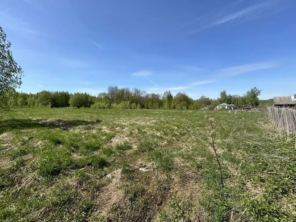 Дом в Нижегородская область, Сосновский муниципальный округ, с. ... - Фото 0