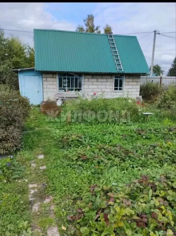 Участок в Новосибирская область, Новосибирск Рябинка СНТ, ул. 1-я (6.0 ... - Фото 1