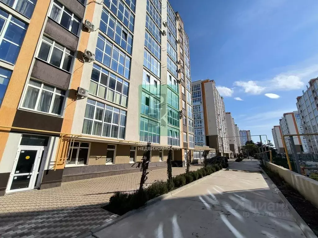 Торговая площадь в Севастополь Гагаринский муниципальный округ, ул. ... - Фото 1