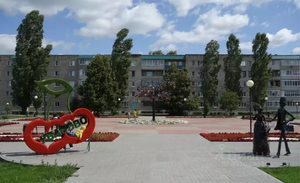 Участок в Тамбовская область, Уварово Базарная ул., 175 (12.0 сот.) - Фото 2