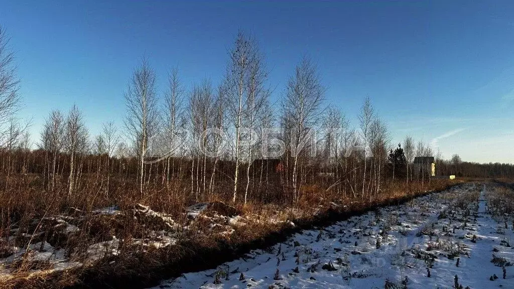Участок в Тюменская область, Тюменский район, Казарма урочище  (5.14 ... - Фото 0