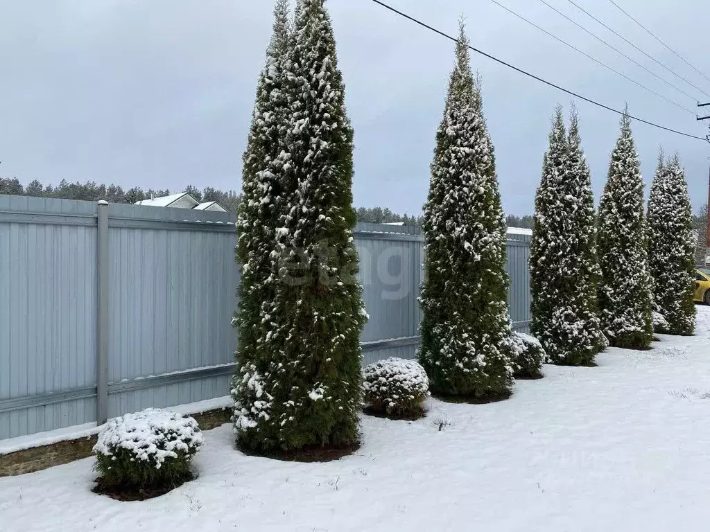 Участок в Псковская область, Псковский район, Тямшанская волость, ... - Фото 1