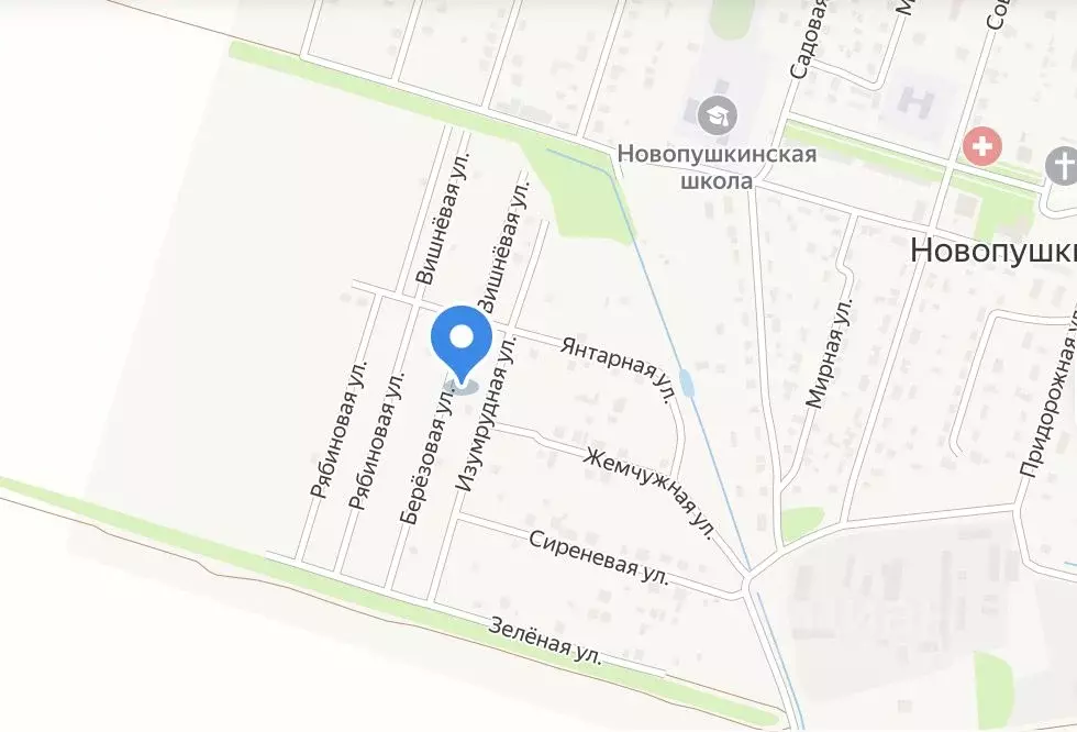 Участок в Саратовская область, Энгельсский район, пос. Новопушкинское ... - Фото 1