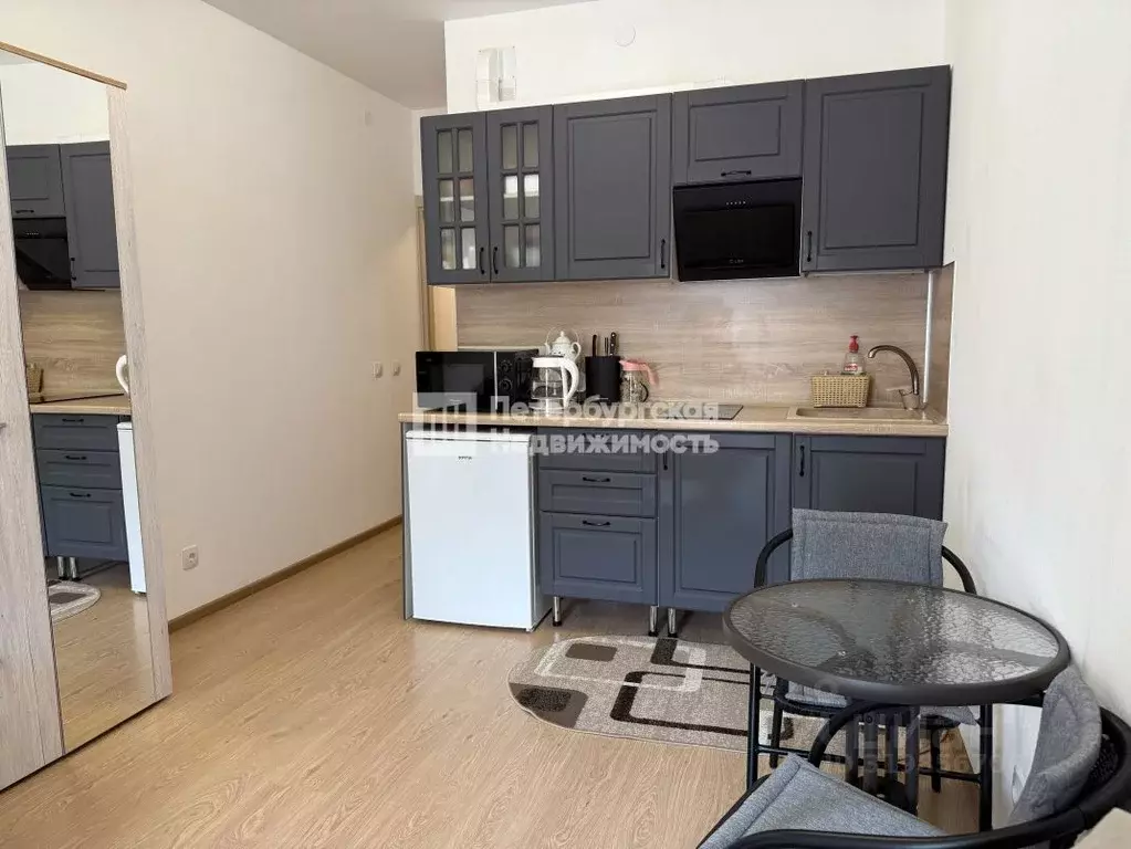 Студия Санкт-Петербург ул. Летчика Лихолетова, 14к2 (24.8 м) - Фото 0