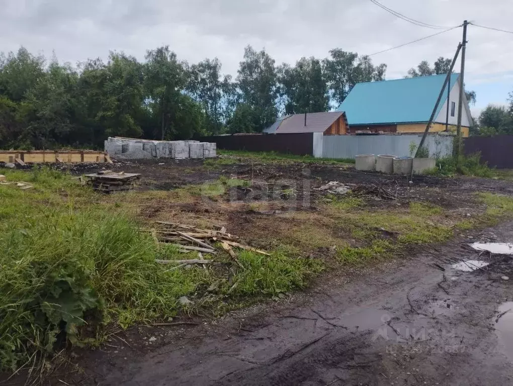 Участок в Алтай, Майминский район, пос. Карлушка Молодежная ул., 4 ... - Фото 1