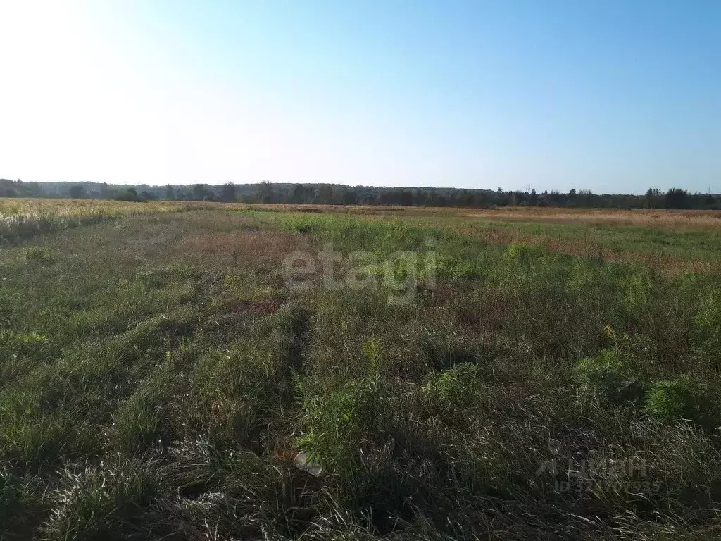 Участок в Брянская область, Брянский район, Добрунское с/пос, д. ... - Фото 1