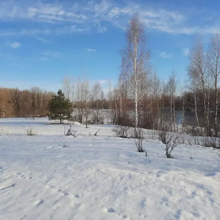 Участок в Алтайский край, Бийский район, с. Сростки Красноармейская ... - Фото 1