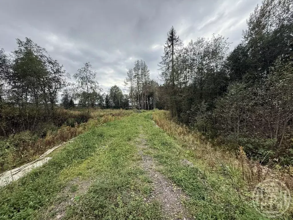 Участок в Ленинградская область, Выборгский район, пос. Первомайское ... - Фото 2