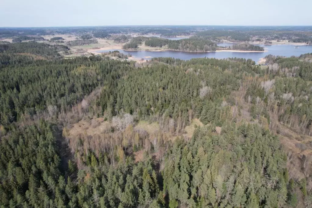 Участок в Карелия, Лахденпохский муниципальный округ, Куркиекское ... - Фото 2