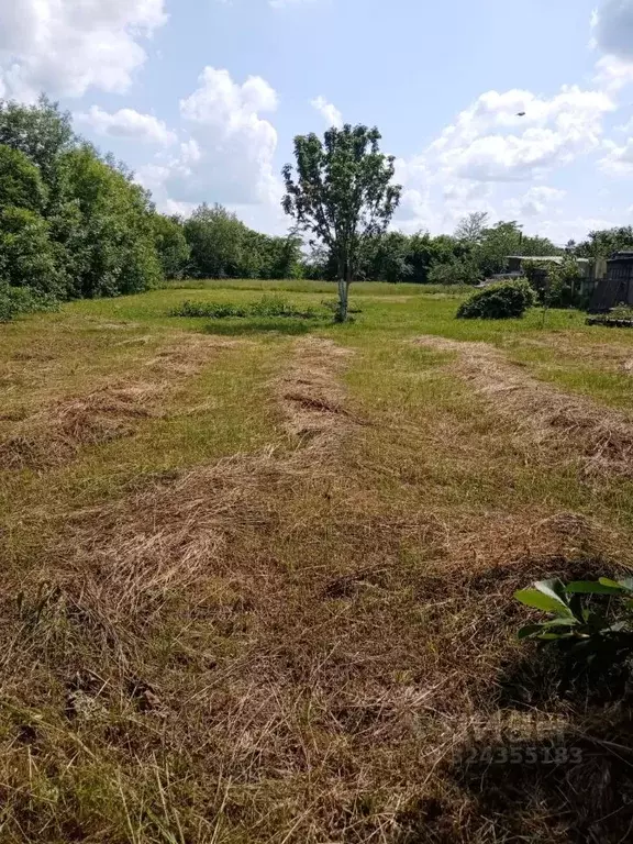 Участок в Краснодарский край, Горячий Ключ муниципальный округ, ... - Фото 1