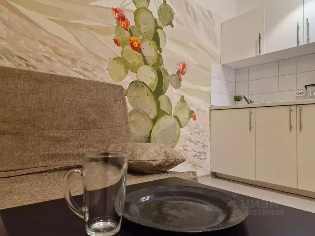 Студия Санкт-Петербург Московский просп., 73к5 (28.0 м) - Фото 1