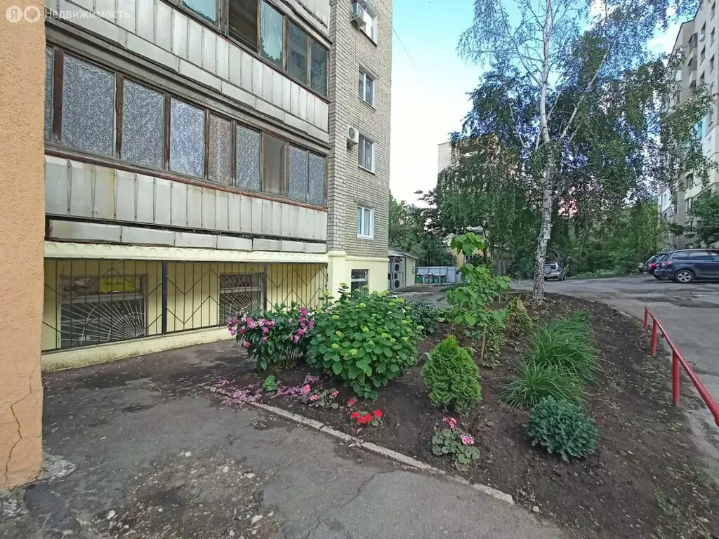 1-комнатная квартира: Саратов, улица Мира, 20В (31.5 м) - Фото 0