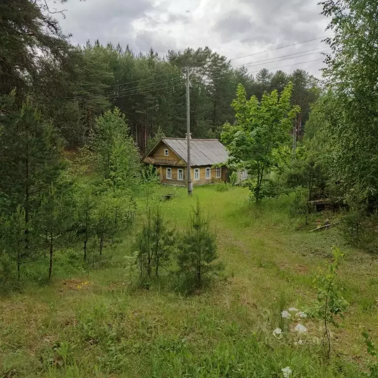 Дом в Вологодская область, Белозерский муниципальный округ, с. Зубово ... - Фото 1