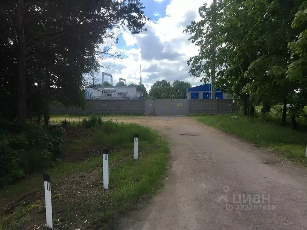 Участок в Ленинградская область, Волосовский район, Бегуницкое с/пос  ... - Фото 2