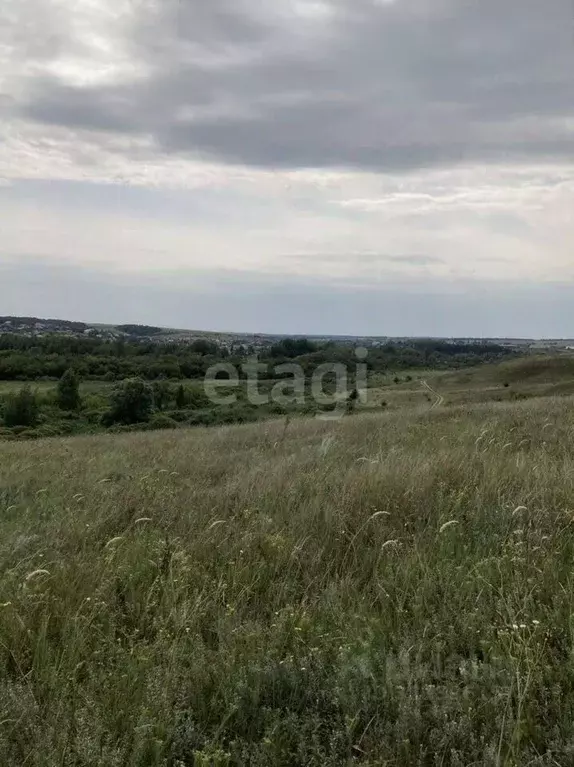 Участок в Белгородская область, Белгородский район, Никольское с/пос, ... - Фото 1