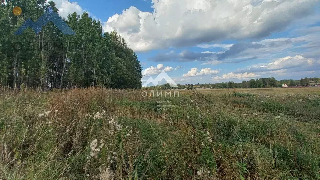 Участок в Вологодская область, д. Вотолино  (18.0 сот.) - Фото 2