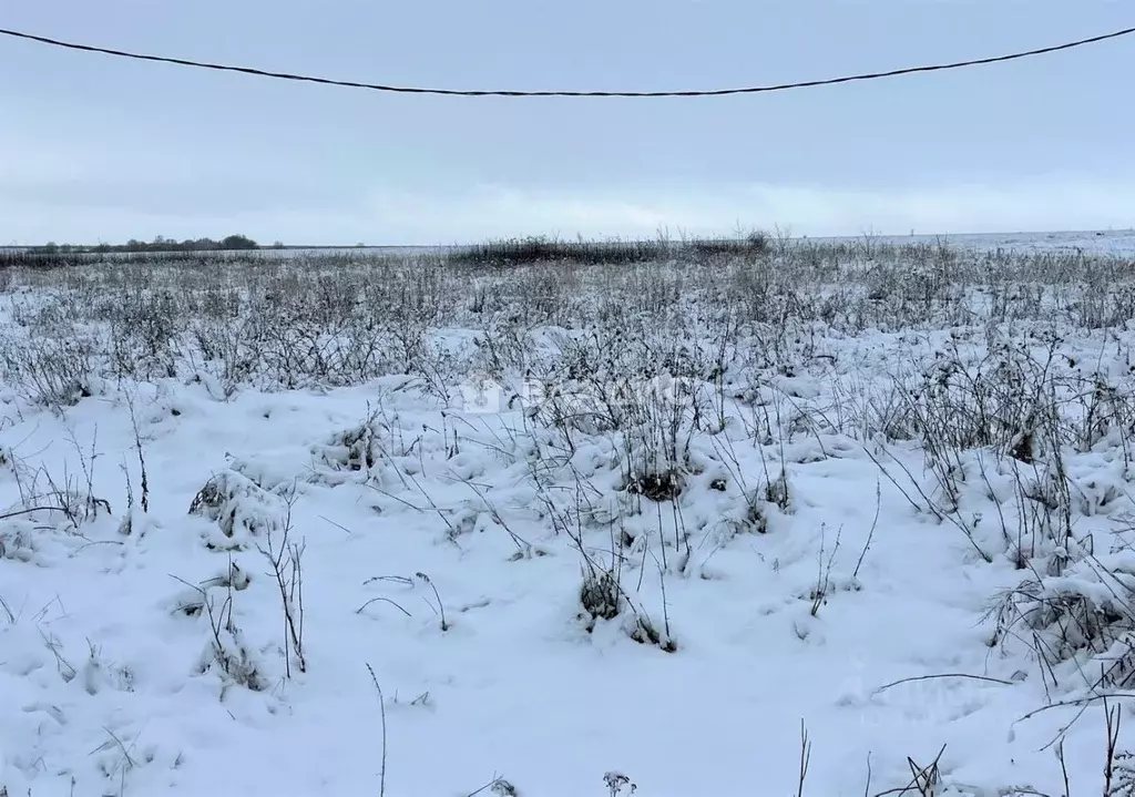 Участок в Пензенская область, с. Бессоновка проезд 4-й Березовый (9.5 ... - Фото 0