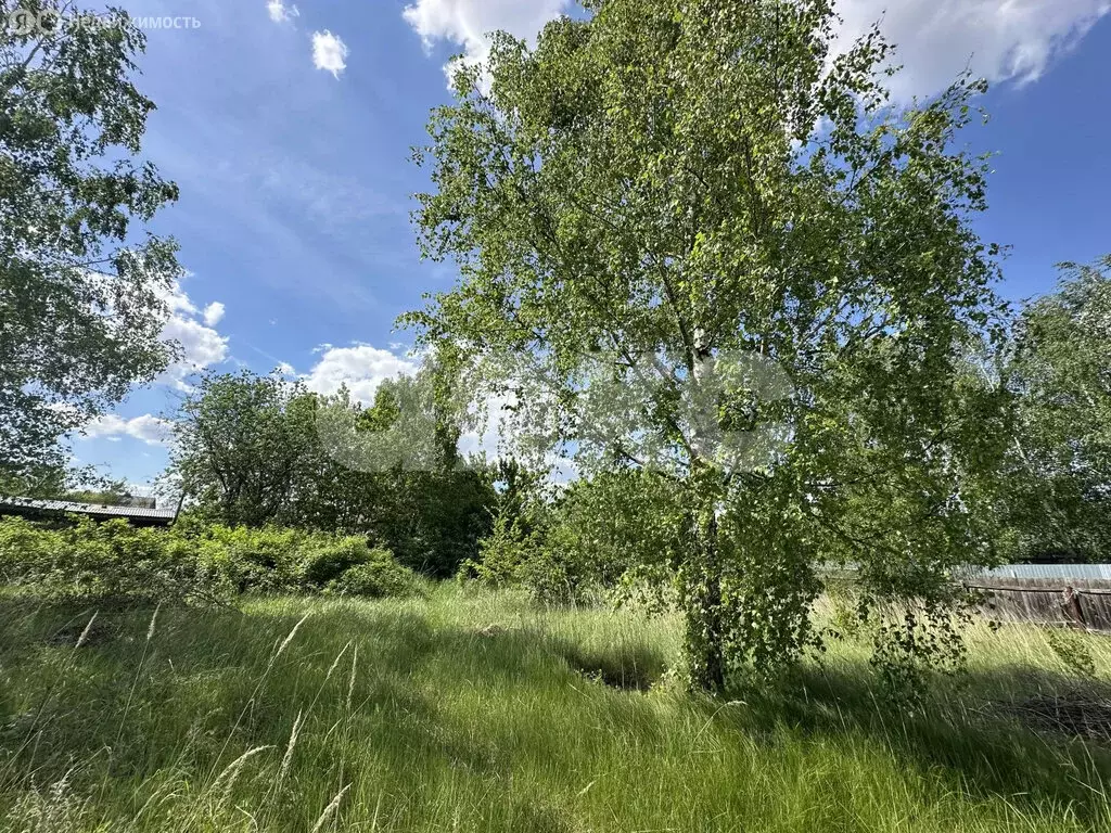 Участок в деревня Заболотье, Песчаная улица, 6 (6.5 м) - Фото 1