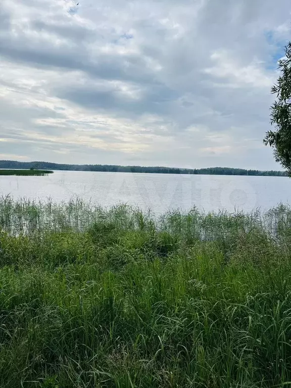 Участок 9 сот. (личное подсобное хозяйство (лпх)) - Фото 0