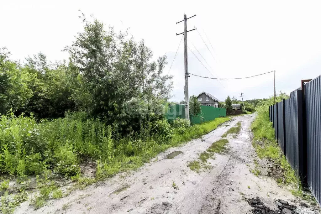 Участок в Тюменская область, Нижнетавдинский муниципальный округ, СНТ ... - Фото 2