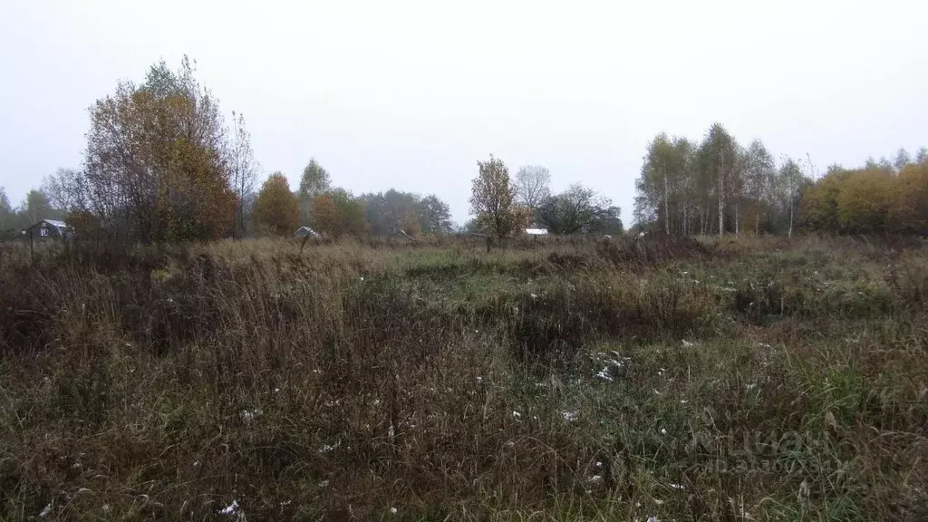 Участок в Московская область, Рузский муниципальный округ, д. ... - Фото 1