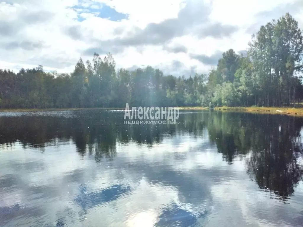 Участок в Ленинградская область, Приозерский район, Севастьяновское ... - Фото 1