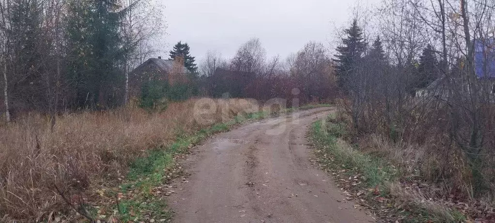Участок в Вологодская область, Великоустюгский муниципальный округ, ... - Фото 1