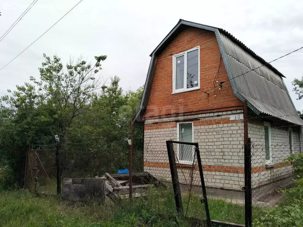Дом в Воронежская область, Хохольское городское поселение, территория ... - Фото 0