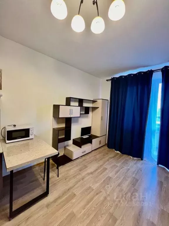 Студия Санкт-Петербург дор. Муринская, 16к2 (29.1 м) - Фото 1