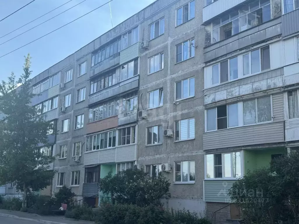 3-к кв. Московская область, Раменский муниципальный округ, пос. Дружба ... - Фото 1