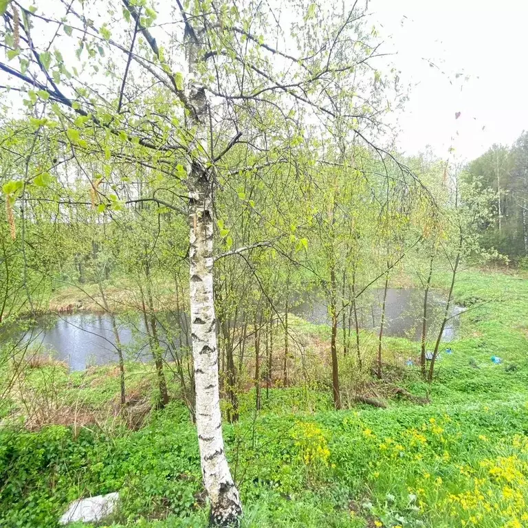 Дом 200 м на участке 10 сот. - Фото 0