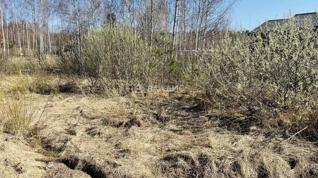 Участок в Московская область, Богородский городской округ, д. Кабаново ... - Фото 0