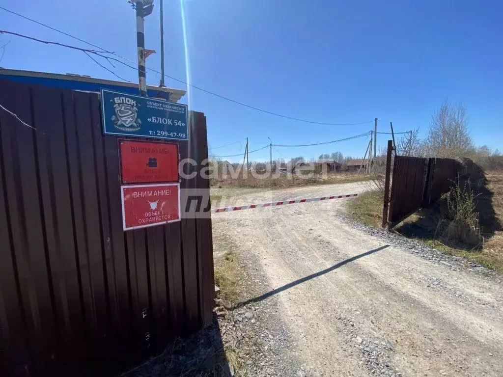 Участок в Новосибирская область, Новосибирский район, Кудряшовский ... - Фото 0