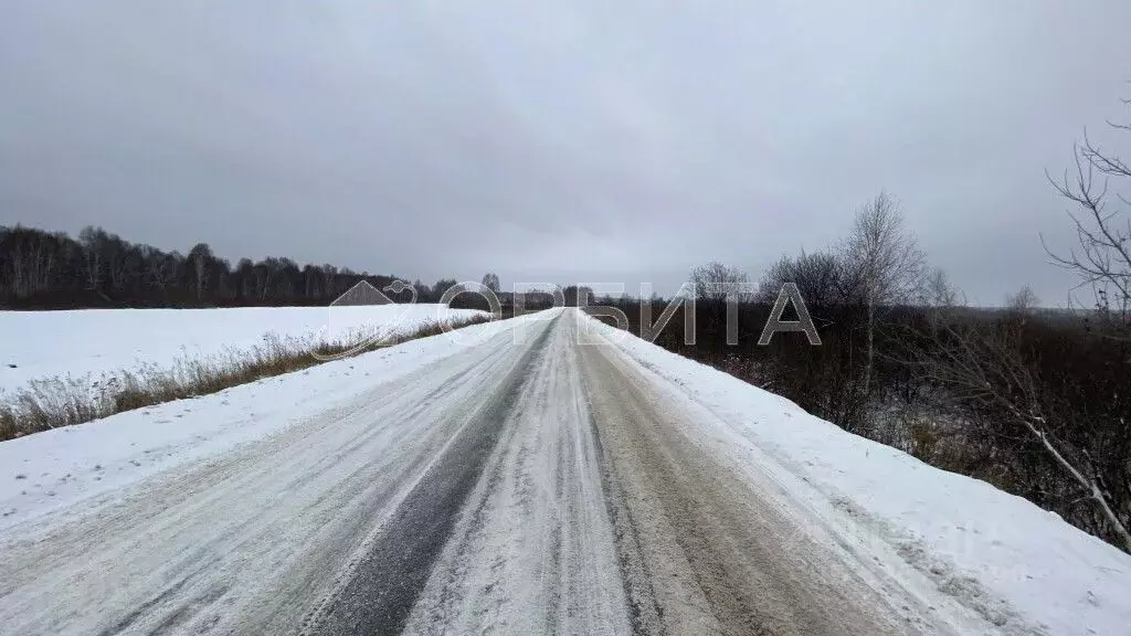 Участок в Тюменская область, Тюменский муниципальный округ, с. ... - Фото 1