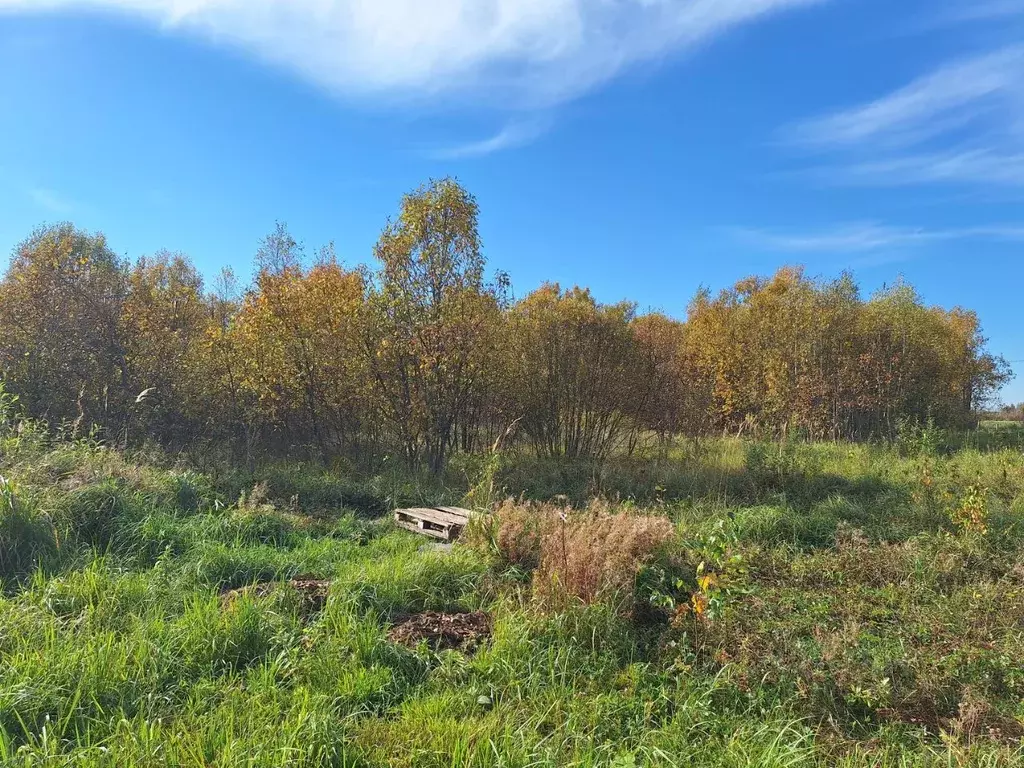 Участок в Московская область, Одинцовский городской округ, д. Петелино ... - Фото 0