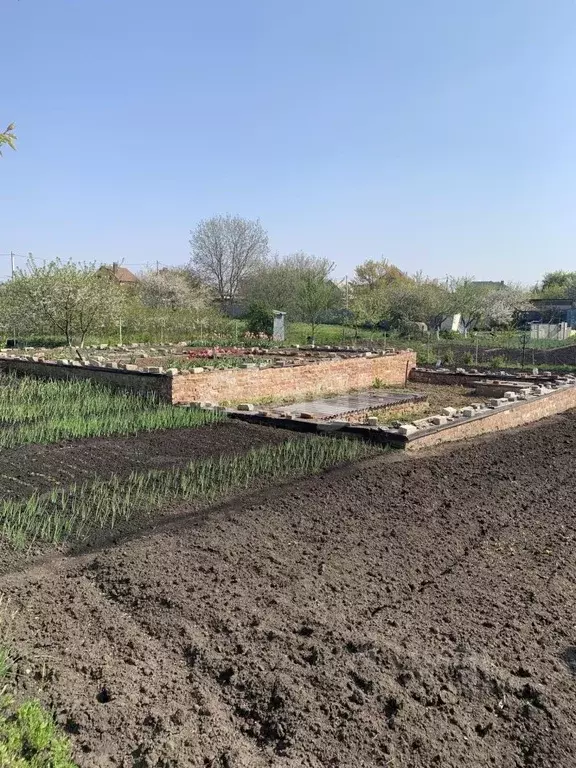 Участок в Белгородская область, Белгородский район, Никольское с/пос, ... - Фото 0
