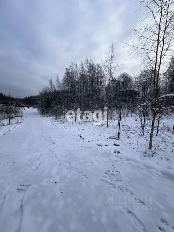 Участок в Ленинградская область, Всеволожский район, Колтушское ... - Фото 1