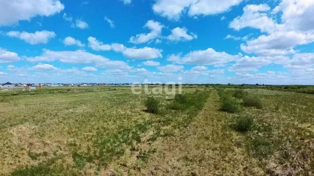 Участок в Тюменская область, Тюменский район, д. Есаулова, Клюква кп  ... - Фото 0