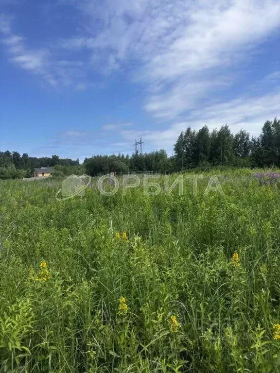 Участок в Тюменская область, Тюменский район, с. Чикча  (7.0 сот.) - Фото 0