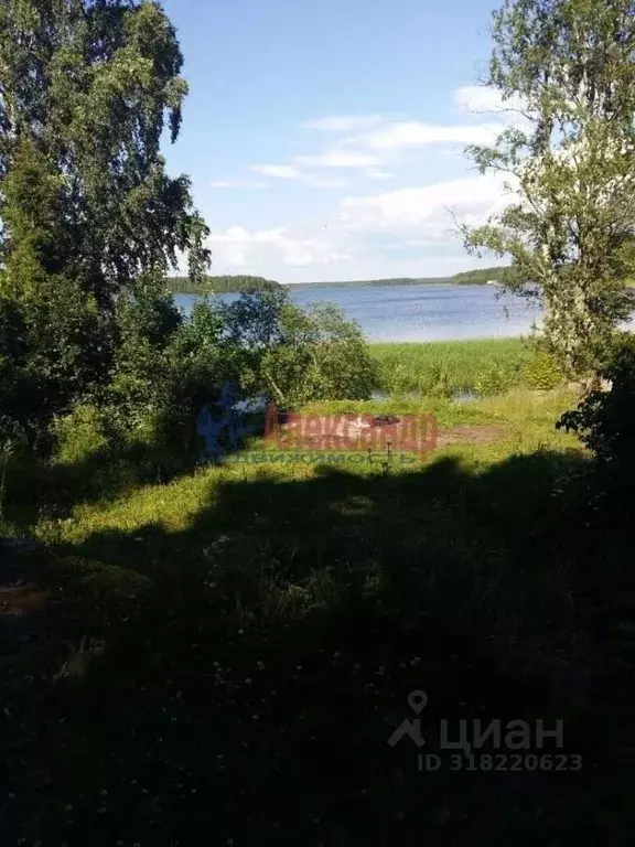 Участок в Ленинградская область, Выборгский район, Высоцкое городское ... - Фото 0