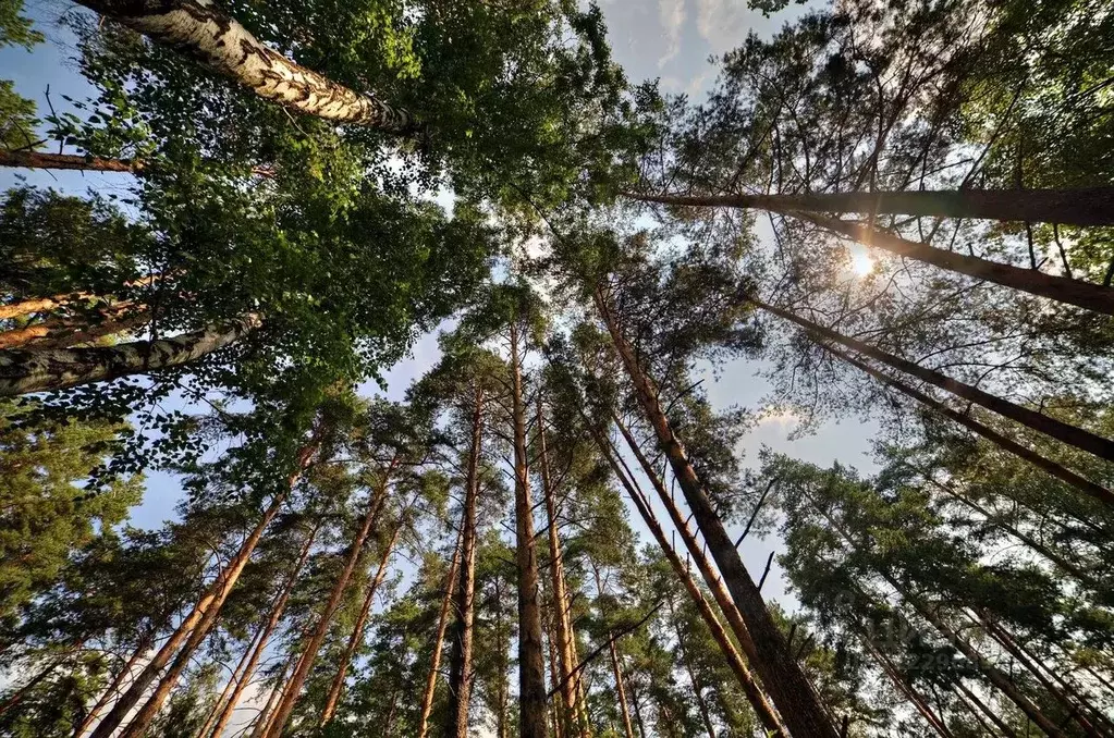 Участок в Московская область, Одинцовский городской округ, пос. ... - Фото 0