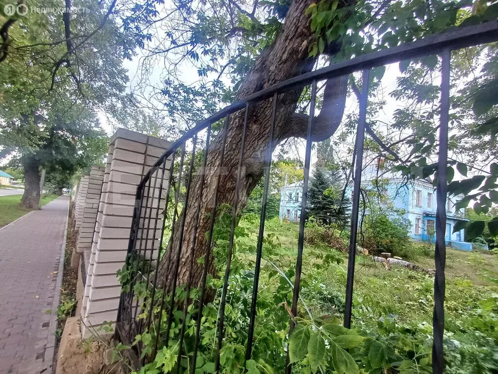 Помещение свободного назначения (720 м) - Фото 1
