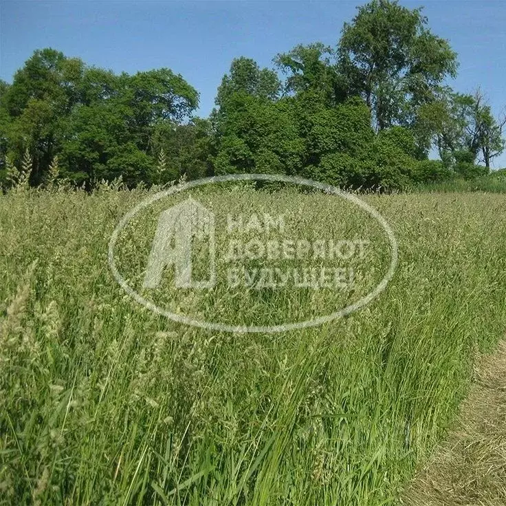 Участок в Пермский край, Лысьва ул. Тютчева, 47 (12.0 сот.) - Фото 1